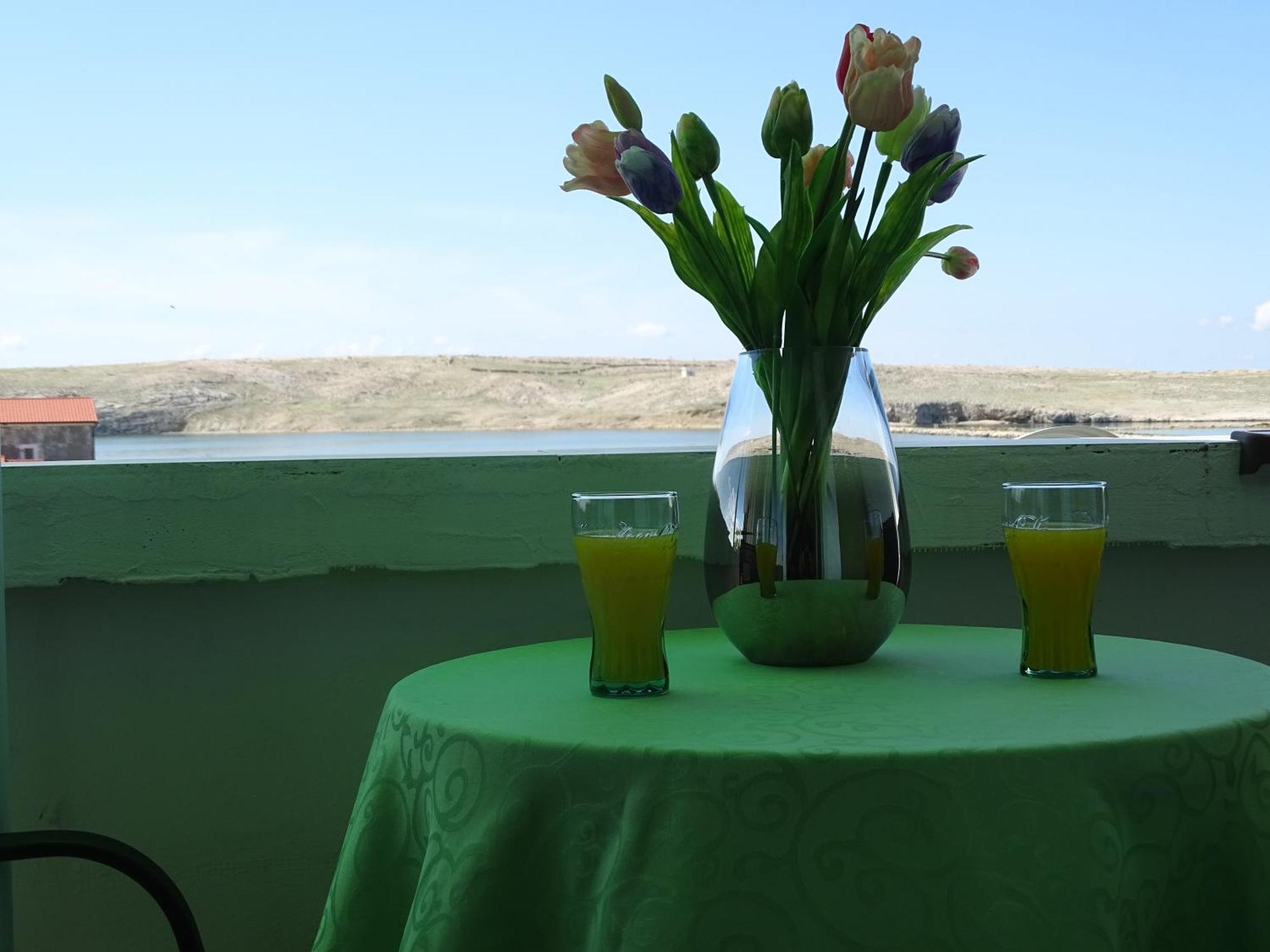 Dinjiška Apartments Sime מראה חיצוני תמונה